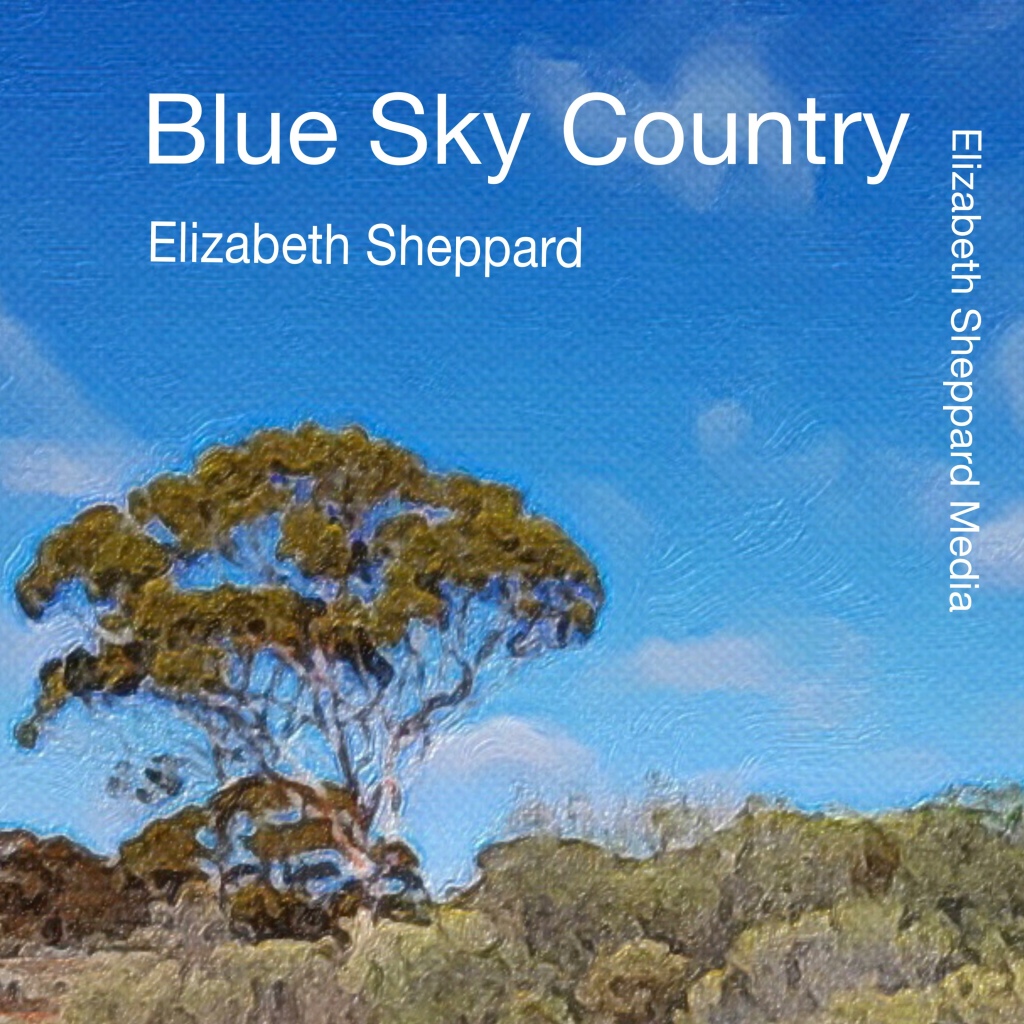 Blue Sky Country Christmas Concert Dec 8 2023 | River City Voices / Ngarra Burria / St Patricks Cathedral Parramatta | Humanitix